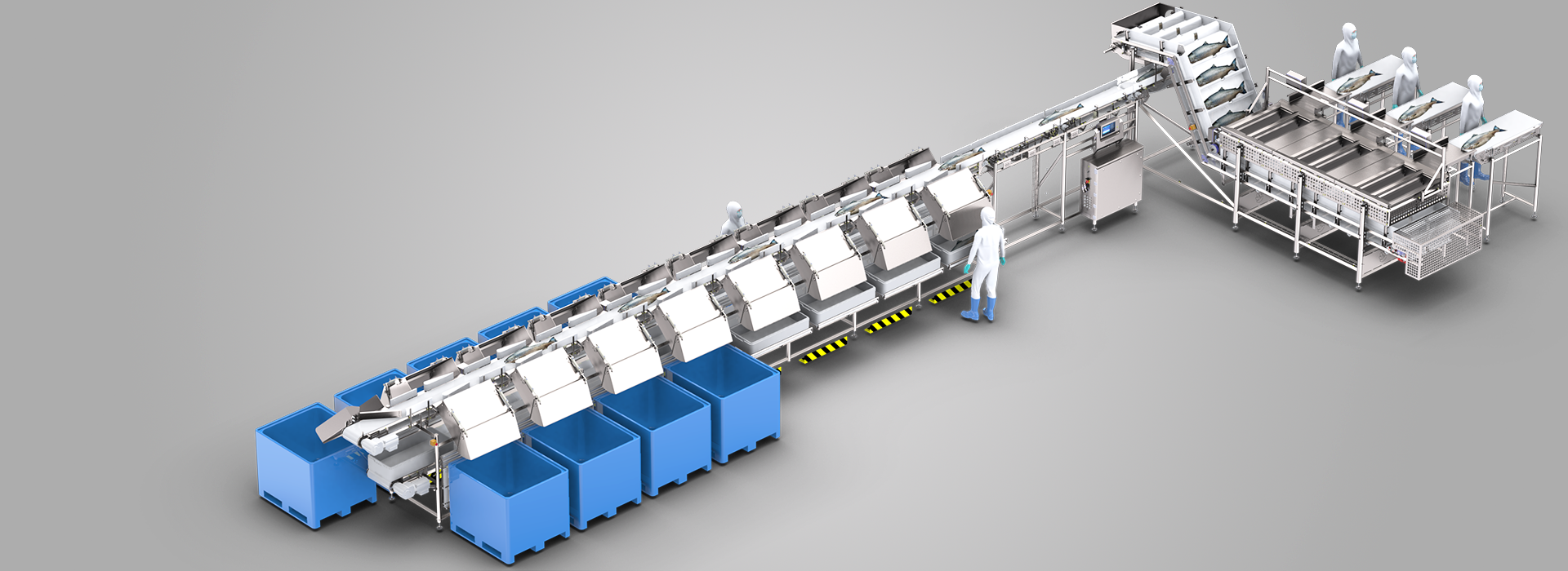 MARELEC's fast and gentle salmon grader provides unparalleled accuracy with unlimited sorting capabilities.