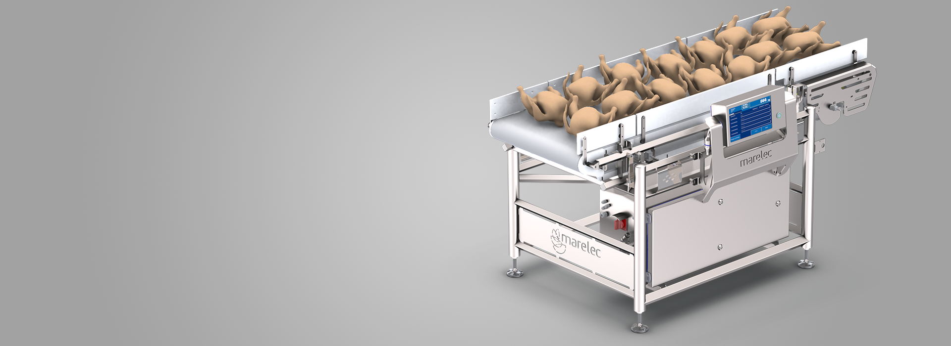 Báscula para pesaje dinámico de flujos de productos avícolas