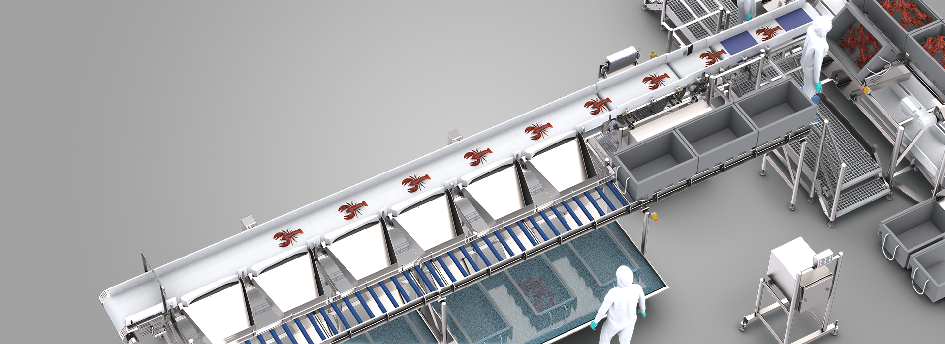 Gentle and accurate weighing and grading of fragile products such as crabs, langoustines and crabs, even at high speed.